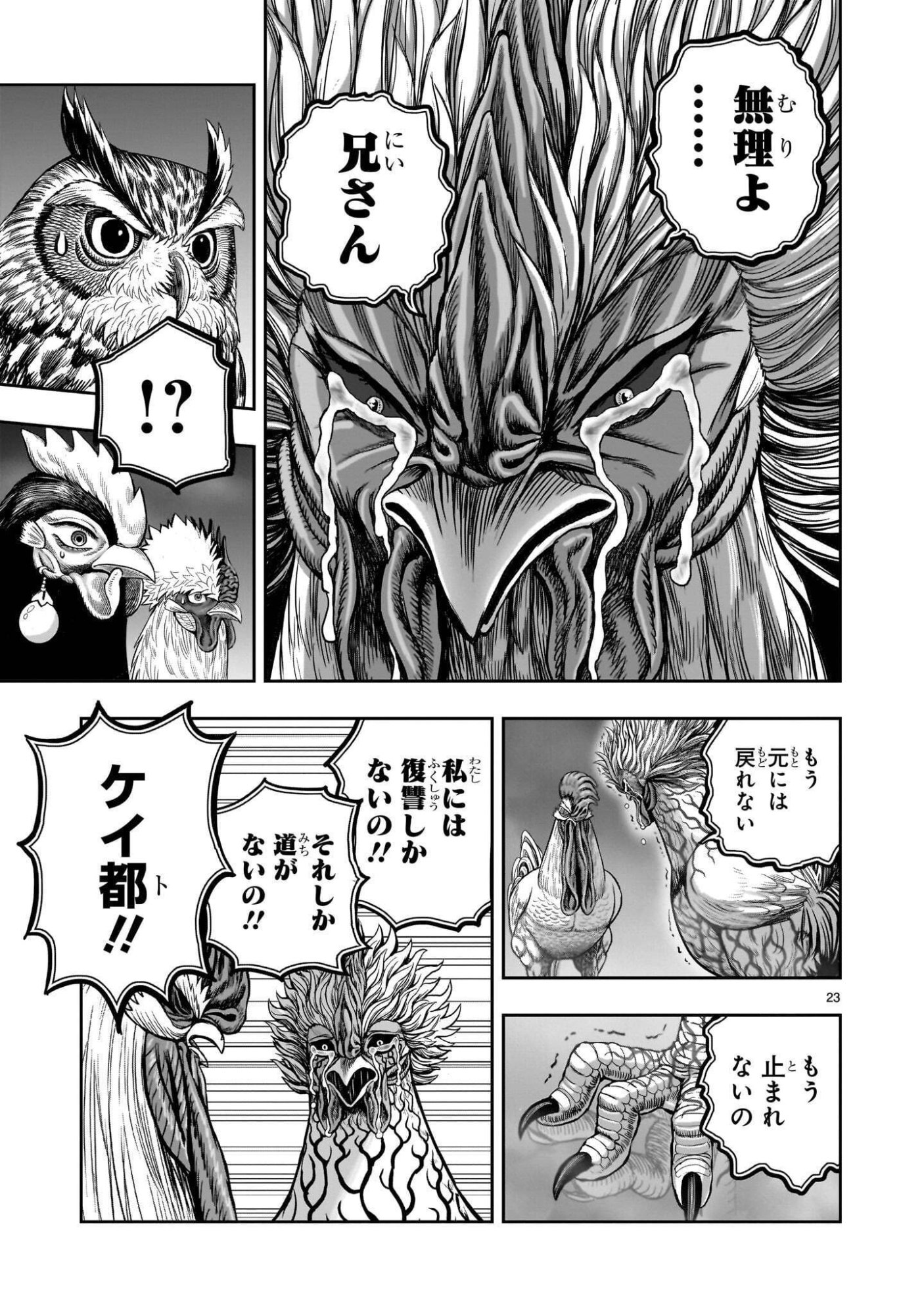 Niwatori Fighter Chapter 62.1 23ページ