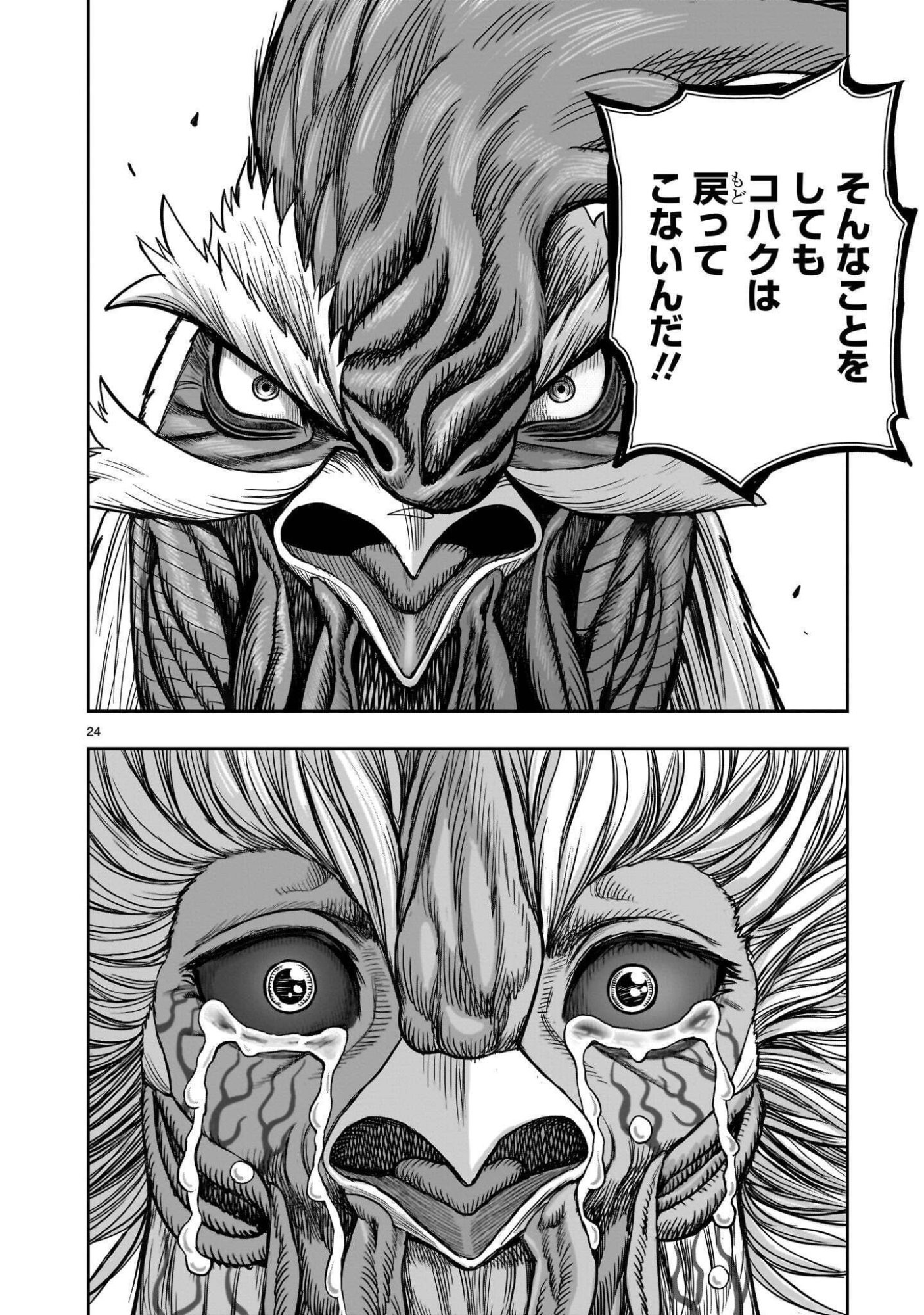 Niwatori Fighter Chapter 62.1 24ページ