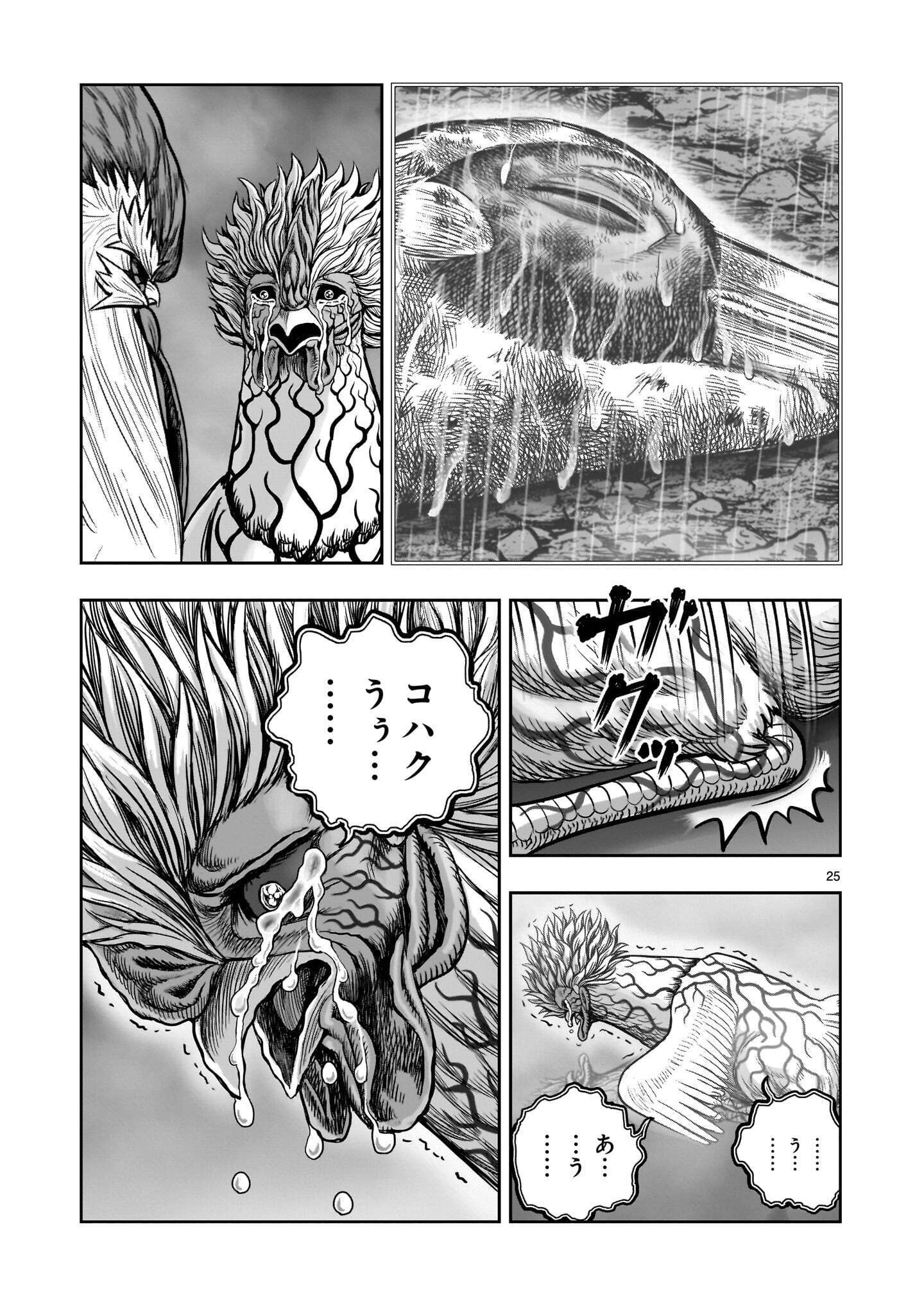 Niwatori Fighter Chapter 62.1 25ページ