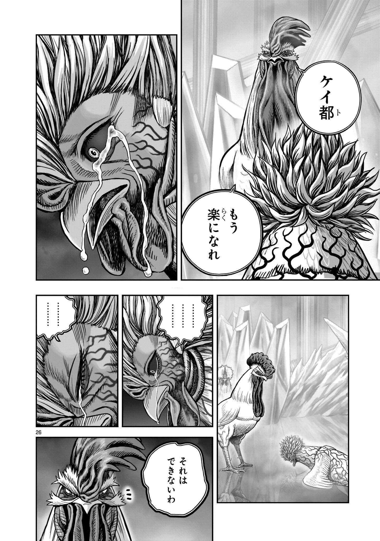 Niwatori Fighter Chapter 62.1 26ページ