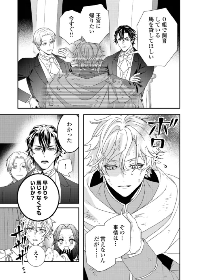 Shokei Sareru Ateuma Ouji, Watashi ga Shiawase ni Itashimasu! Chapter 11 17ページ
