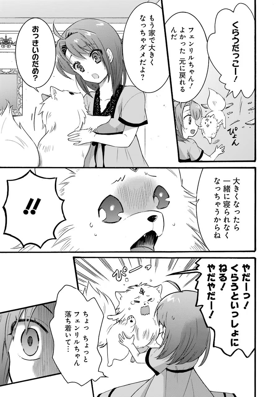 Tensei Daiseijo, Jitsuryoku o Kaku Shite Renkinjutsu Gakka ni Nyuugaku Suru - Kemono Tsukai no Akuyaku Reijou, Game no Chishiki de Yarakashi Musoushi Dekiai Sareru Chapter 14 9ページ