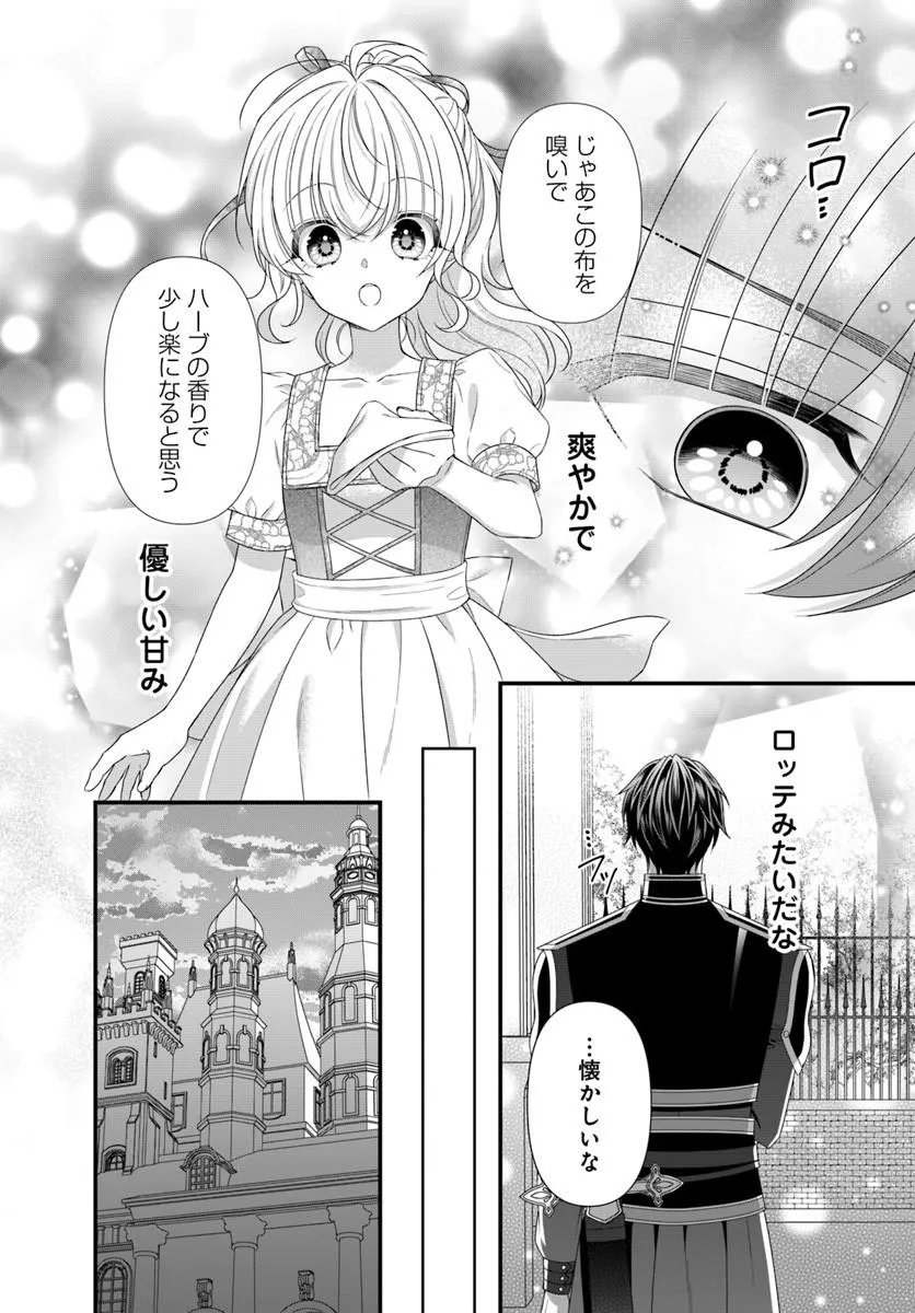 Oujo deshita ga Kossori Ryuu Kishidan no Senzoku Kusushi ni Narimashita! Chapter 11.2 10ページ