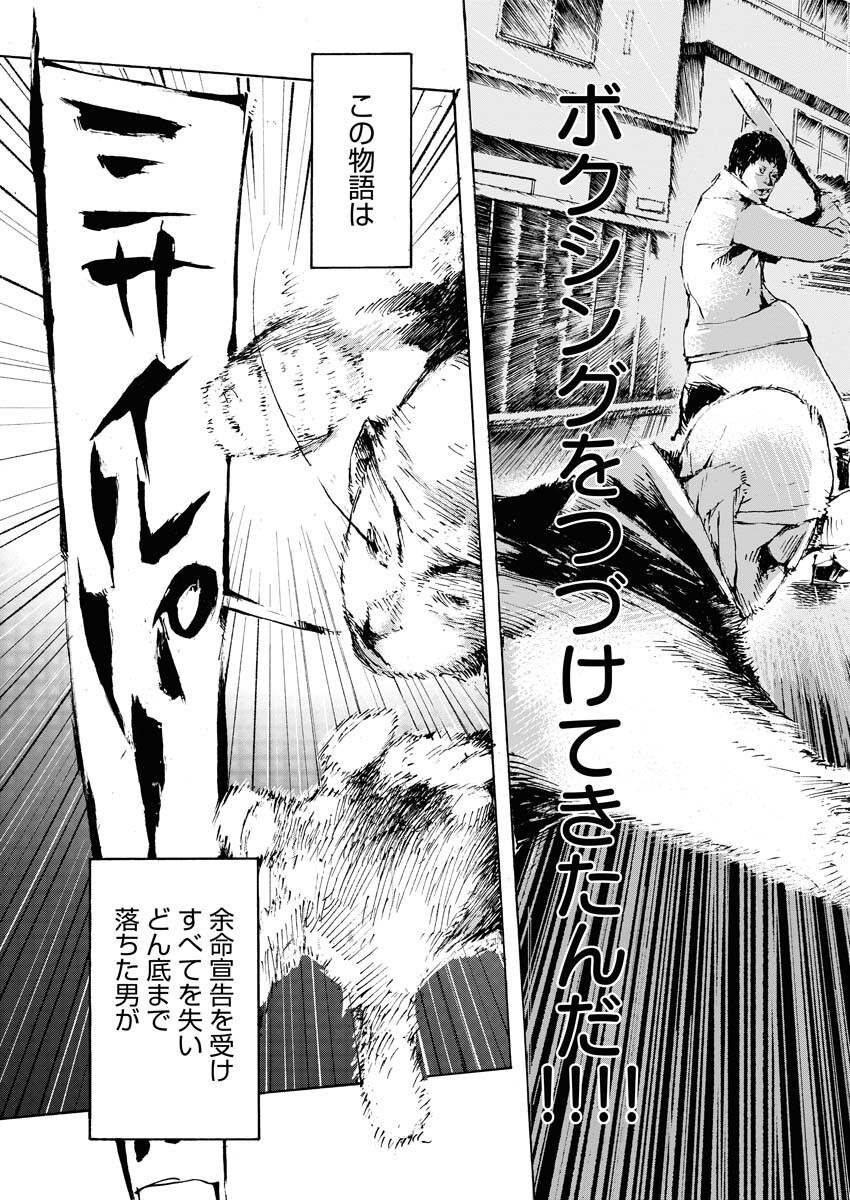Boku×Star Chapter 48 20ページ