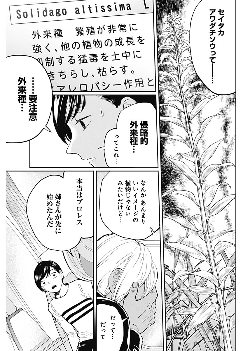 Black Night Parade Chapter 23 11ページ