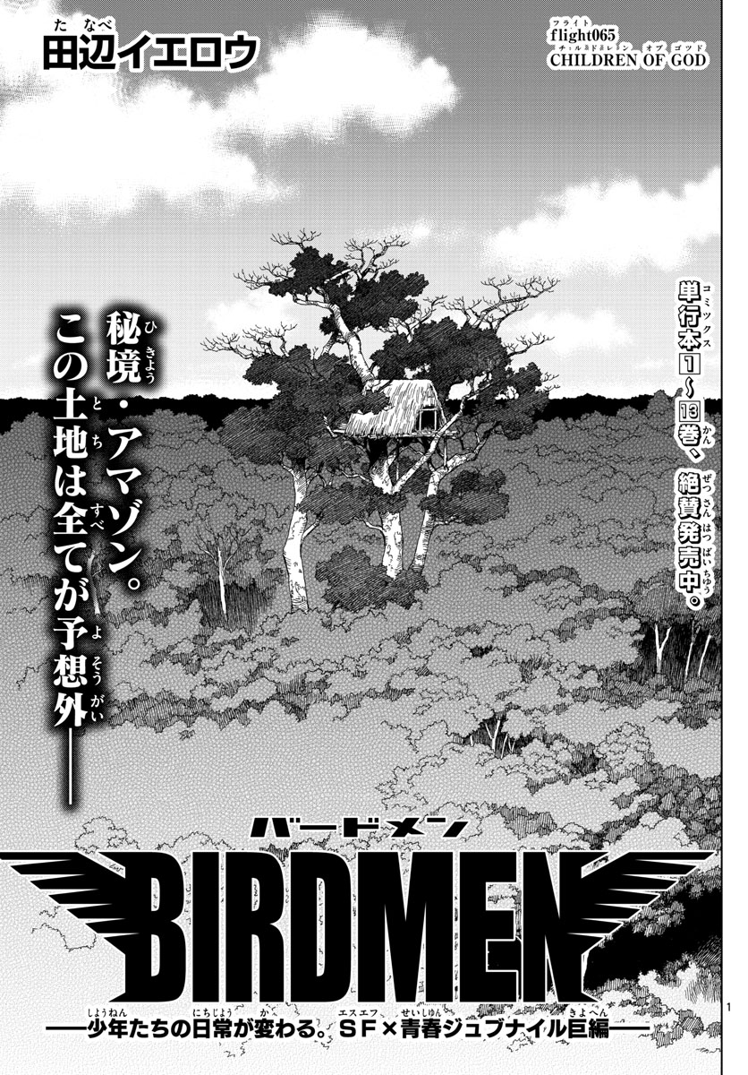 Birdmen Chapter 65 1ページ
