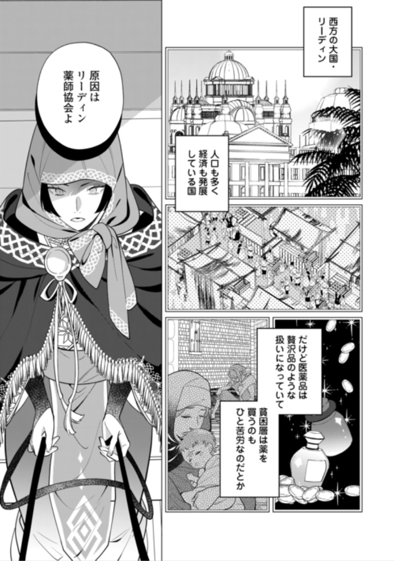 Watashi wo Oidasu no wa Ii desu kedo, Kono Ie no Kusuri Tsukutta no Zenbu Watashi desu yo? Chapter 23.1 15ページ