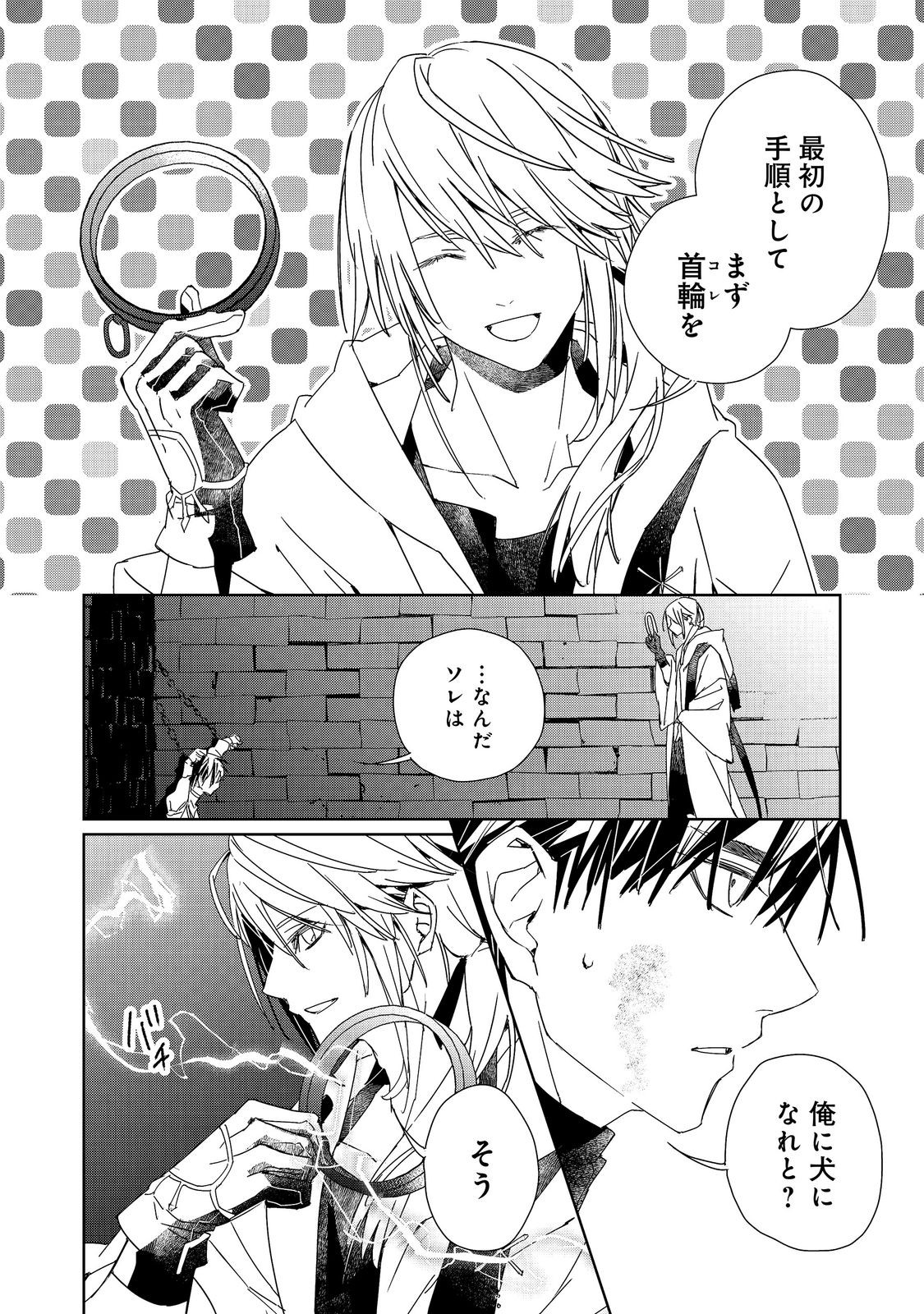 Shinmonkan Theodore Oranie to Koorou no Kishi Chapter 10 30ページ
