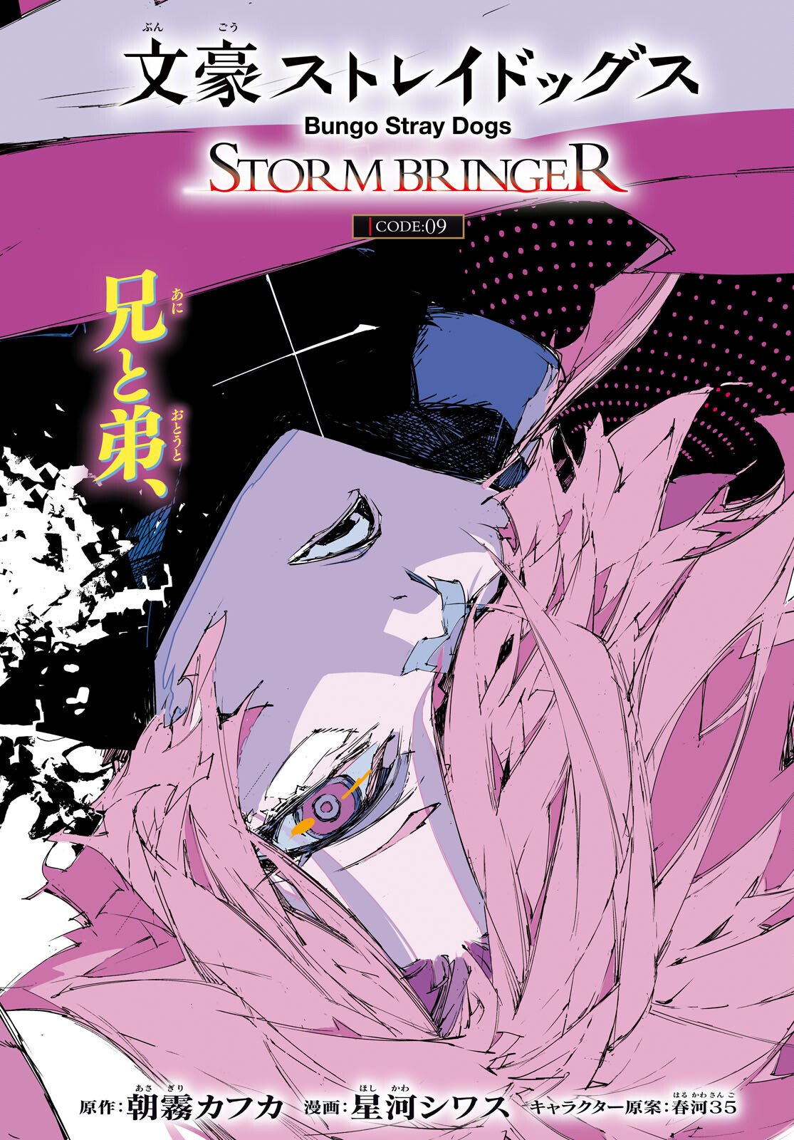 Bungou Stray Dogs: Storm Bringer Chapter 9 2ページ