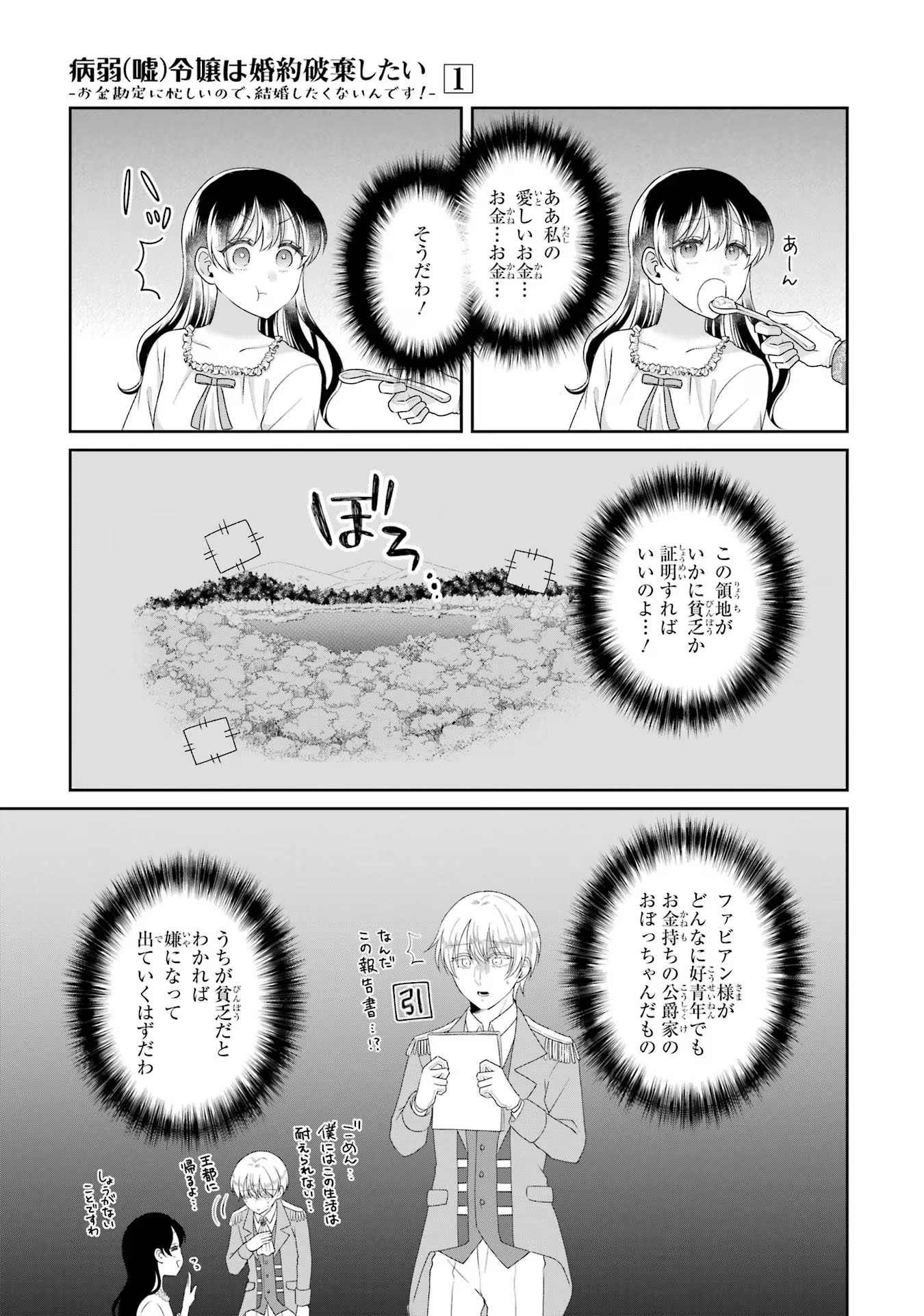 Byoujaku (Uso) Reijou wa Konyaku Haki shitai - Okane Kanjou ni Isogashii no de, Kekkon shitakunain desu! Chapter 5 9ページ