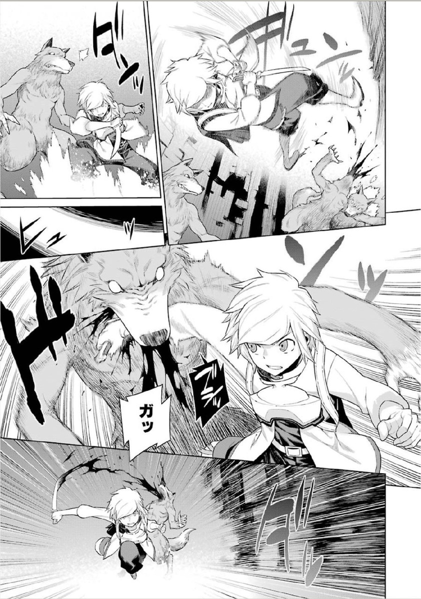 Dungeon ni Deai o Motomeru no wa Machigatteiru darou ka Chapter 1 21ページ