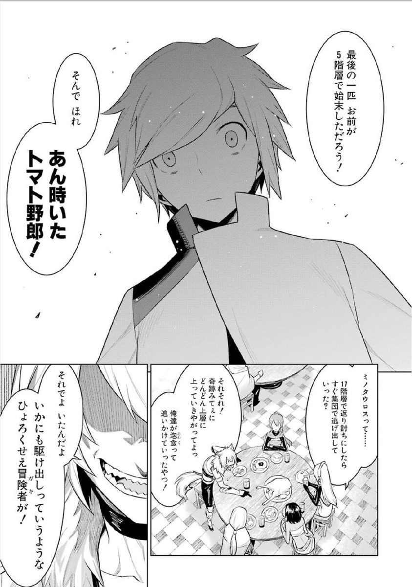 Dungeon ni Deai o Motomeru no wa Machigatteiru darou ka Chapter 2 13ページ