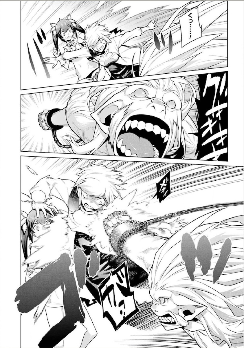 Dungeon ni Deai o Motomeru no wa Machigatteiru darou ka Chapter 8 20ページ