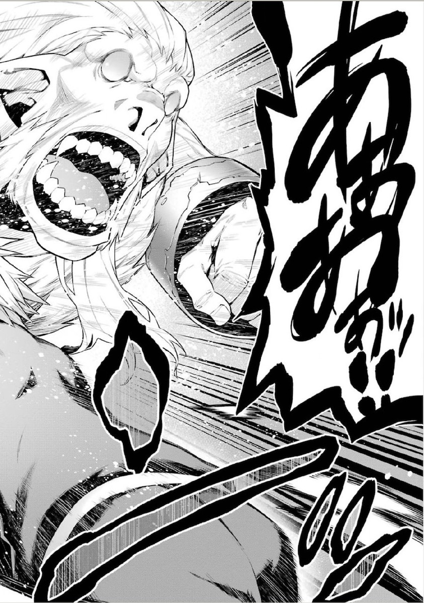 Dungeon ni Deai o Motomeru no wa Machigatteiru darou ka Chapter 12 14ページ