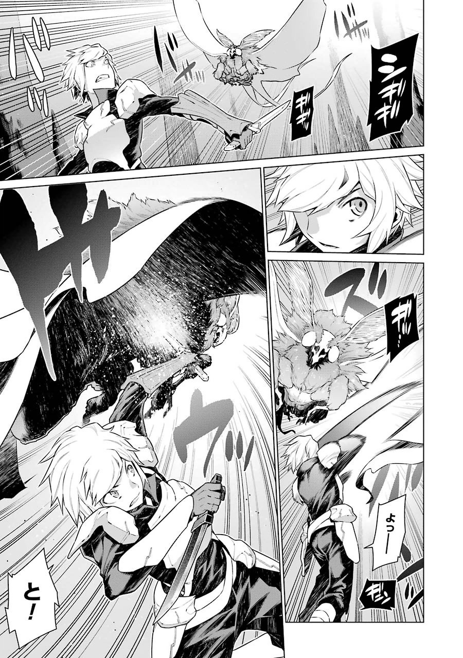 Dungeon ni Deai o Motomeru no wa Machigatteiru darou ka Chapter 17 5ページ
