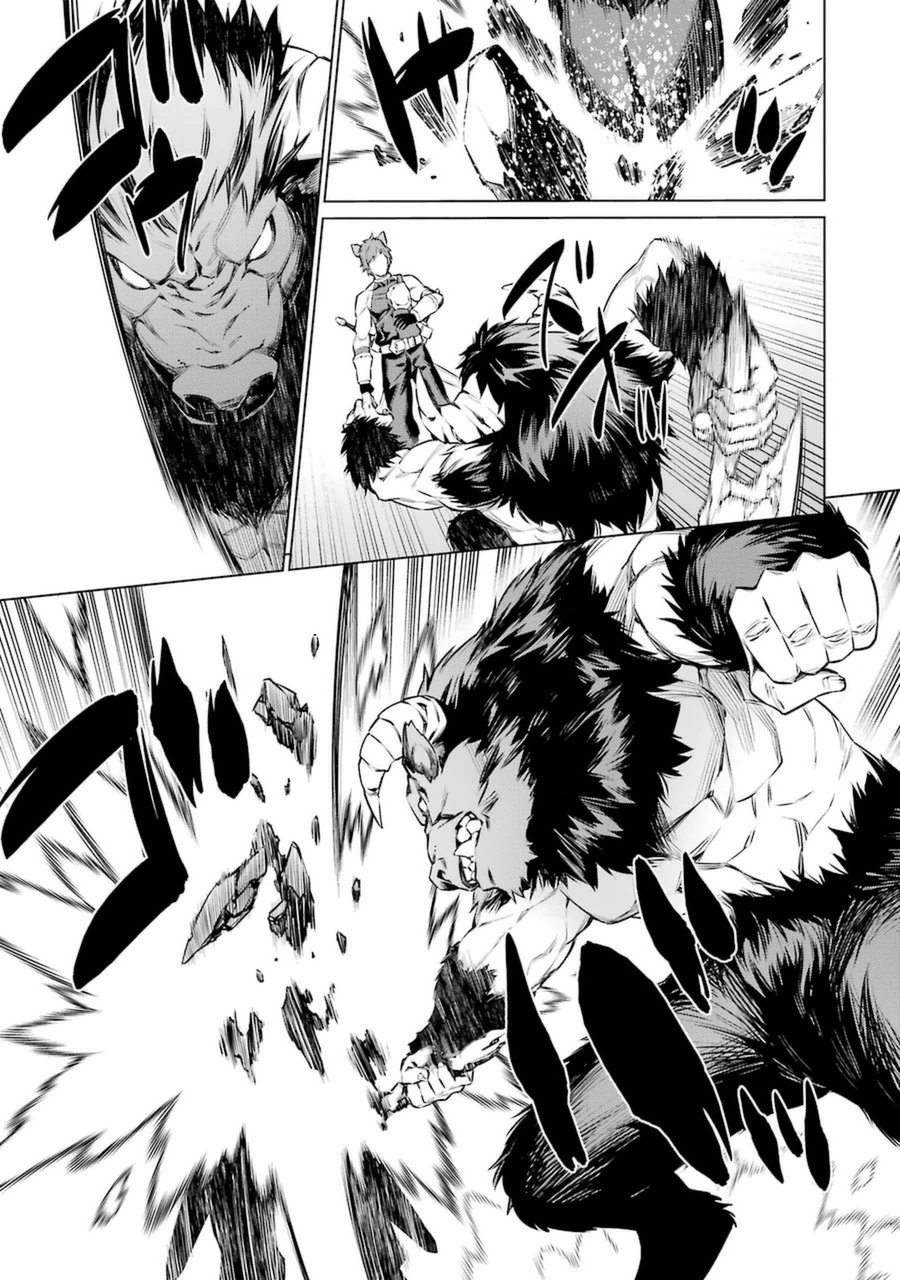 Dungeon ni Deai o Motomeru no wa Machigatteiru darou ka Chapter 33 11ページ