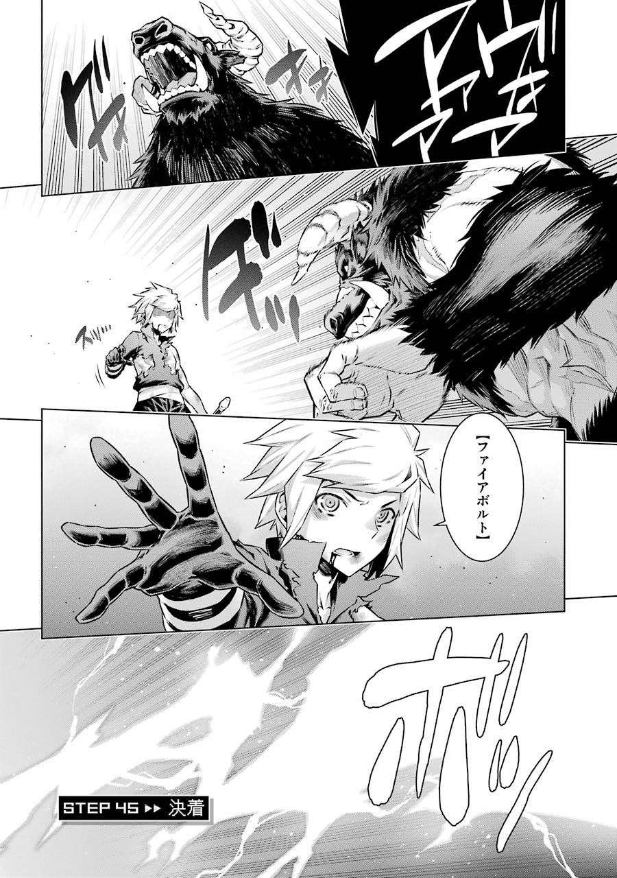 Dungeon ni Deai o Motomeru no wa Machigatteiru darou ka Chapter 45 1ページ