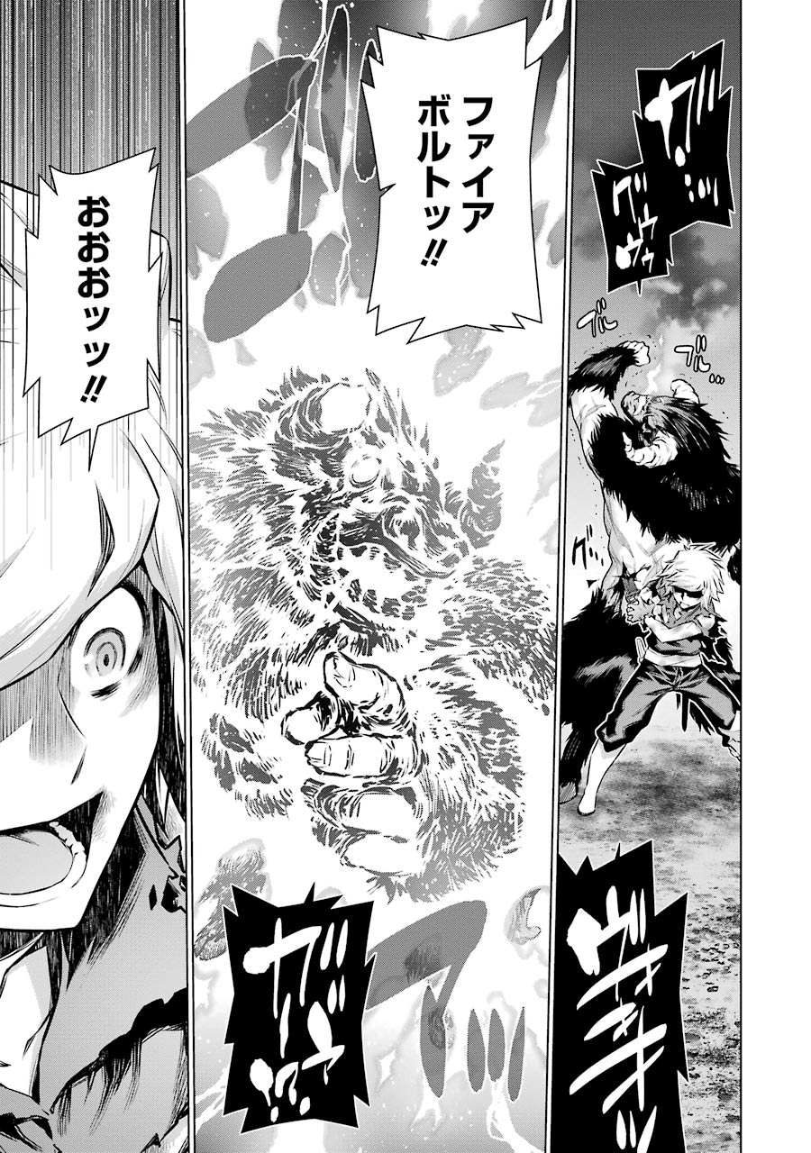 Dungeon ni Deai o Motomeru no wa Machigatteiru darou ka Chapter 45 17ページ