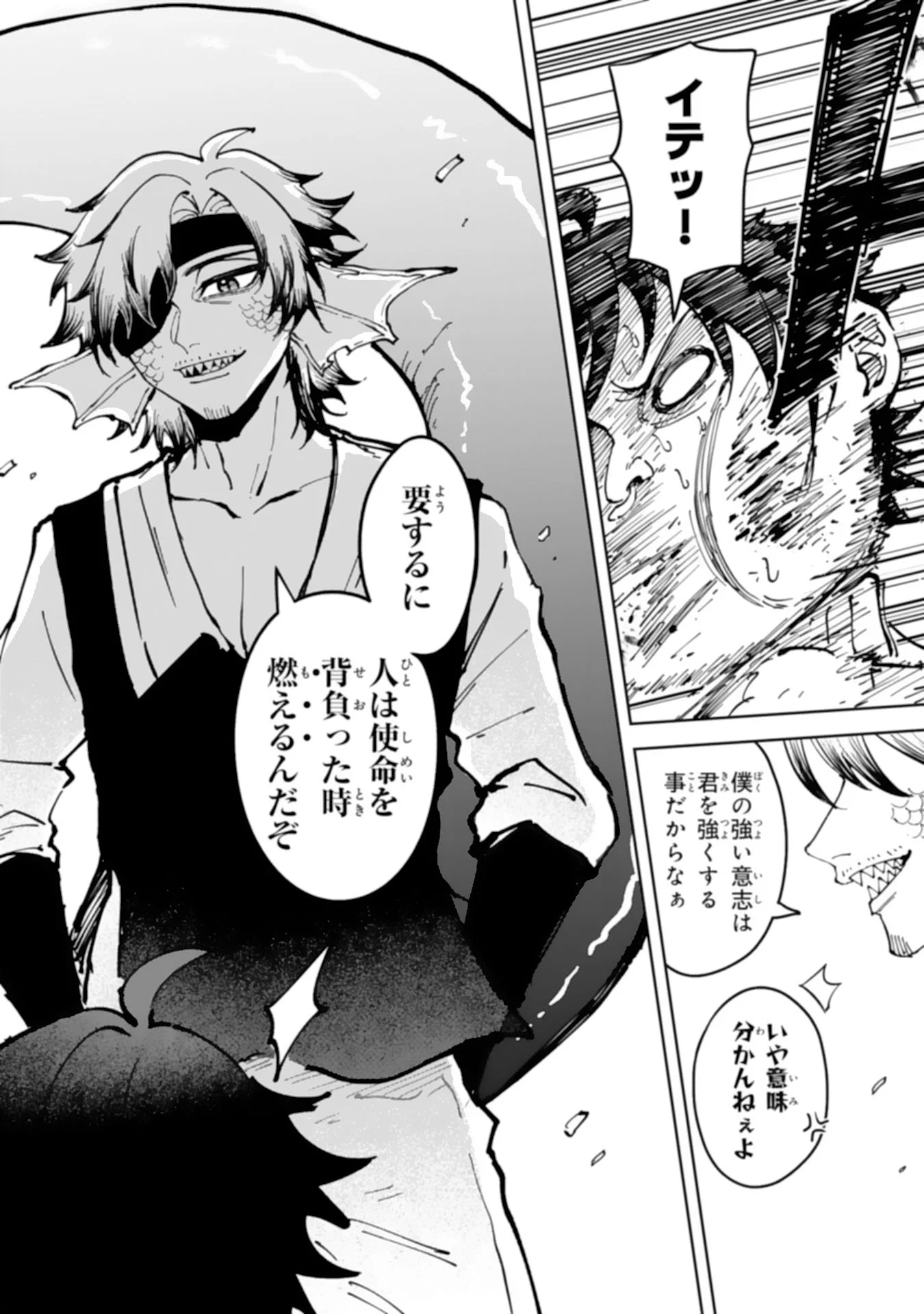 GEMIS Chapter 8.1 11ページ