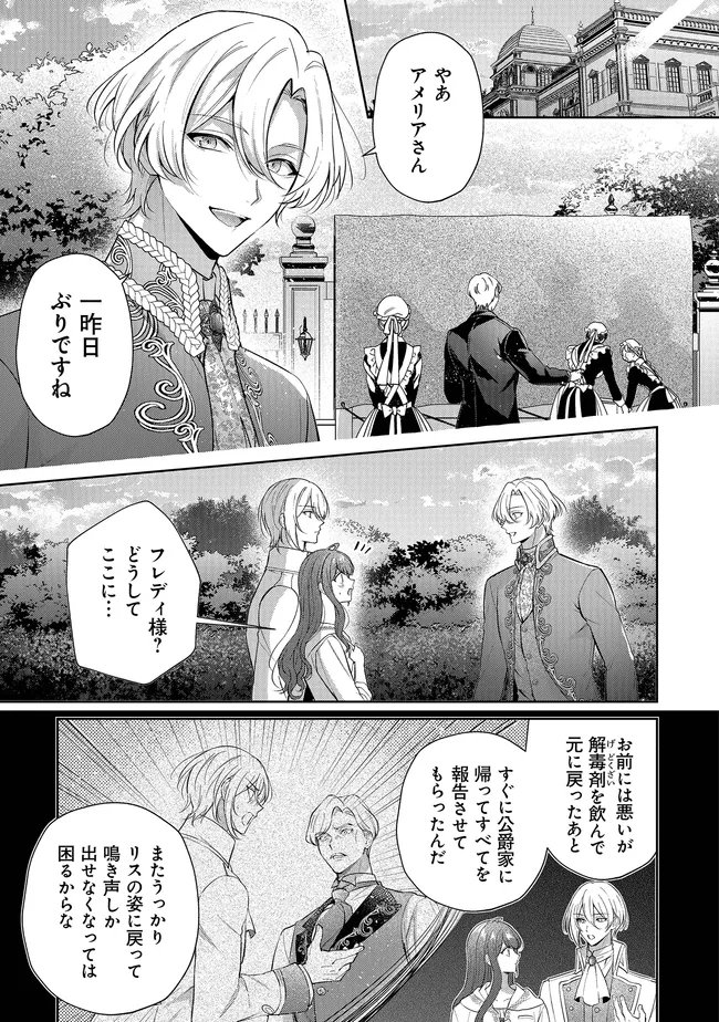 Risu ni Natte Shimatta Kon'yakusha ga, Kegirai Shiteita Hazu no Watashi ni Tasuke o Motomete Kimashita. Chapter 13.3 1ページ