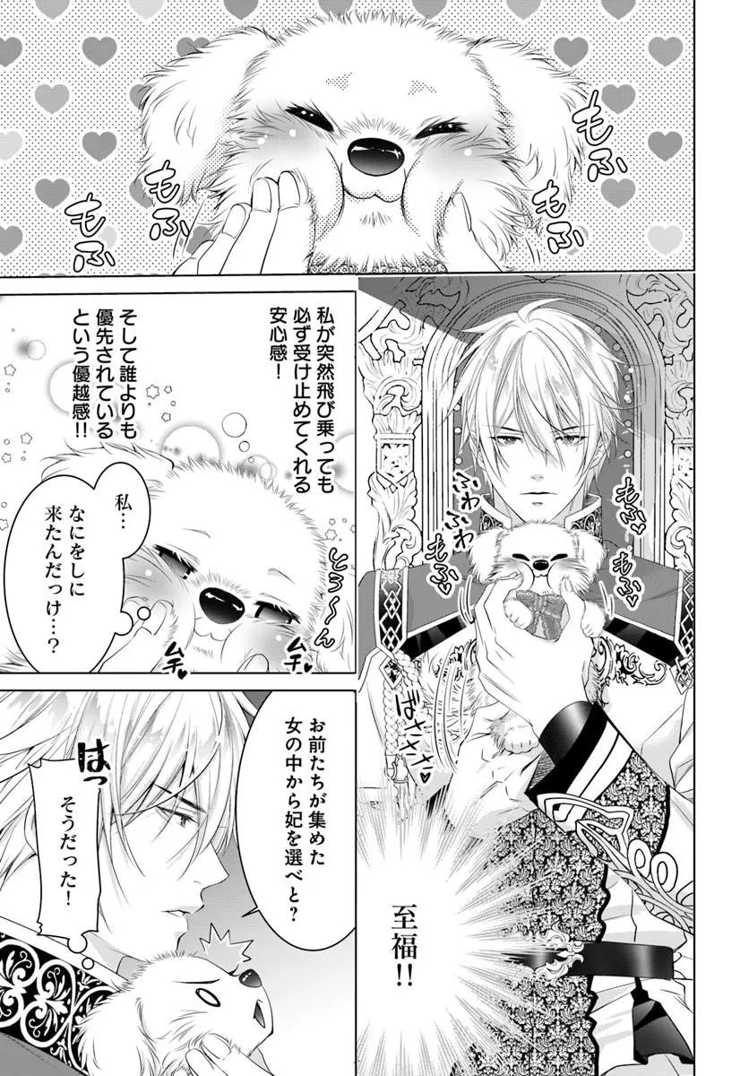 Kokuou Heika, Watashi wo Katte Kudasai! Chapter 12.2 2ページ