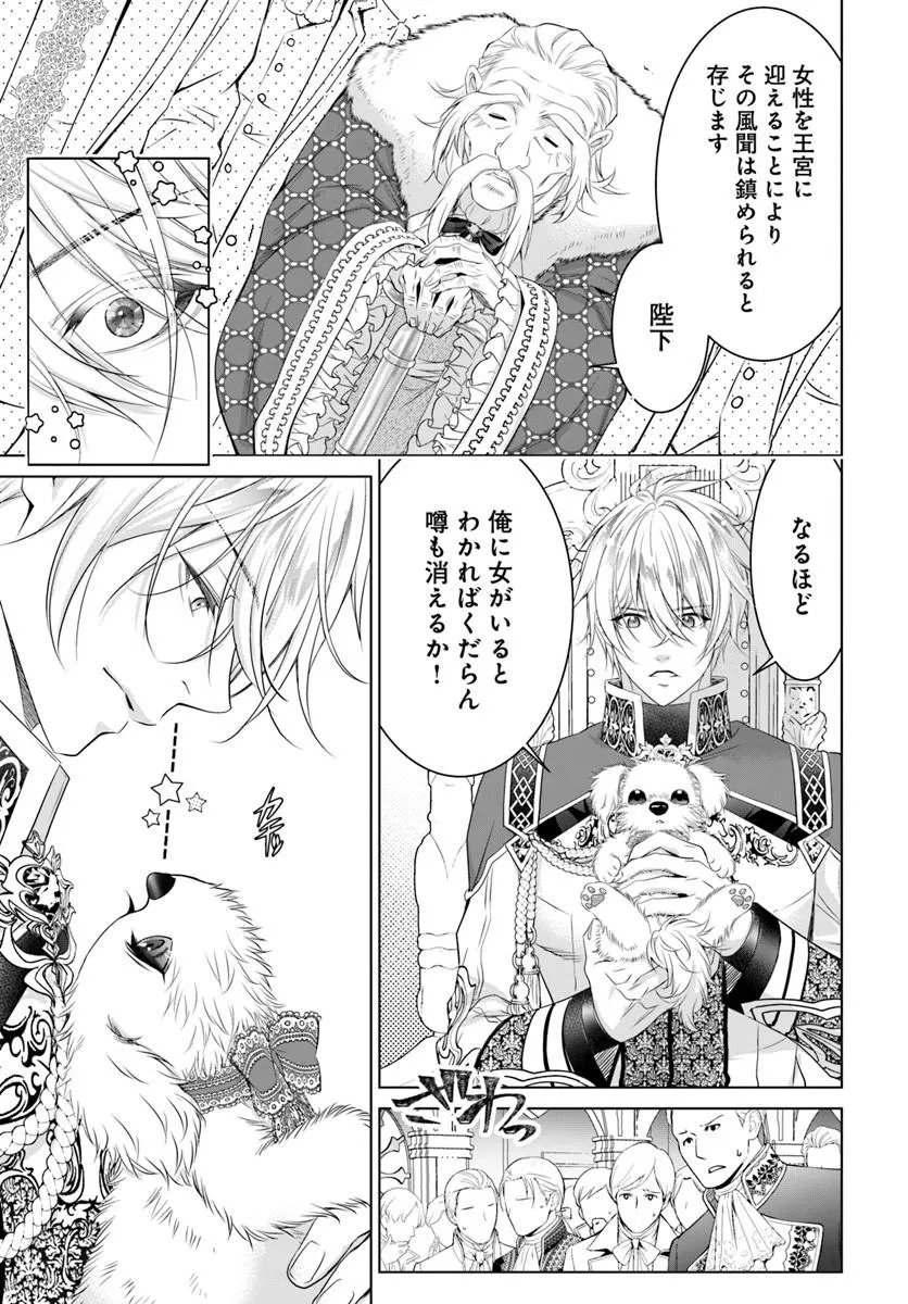 Kokuou Heika, Watashi wo Katte Kudasai! Chapter 12.2 6ページ