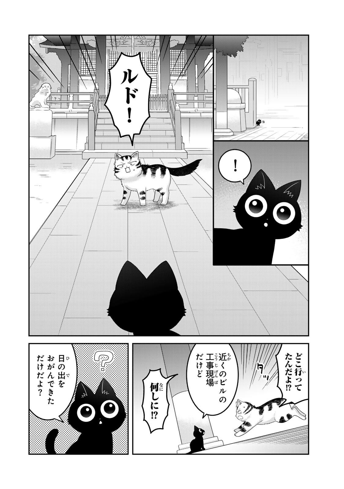 Rudolf to Ippaiattena Chapter 12 12ページ