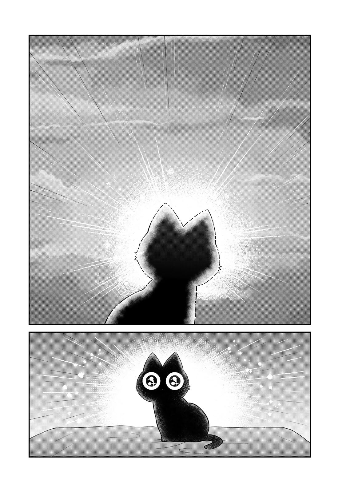 Rudolf to Ippaiattena Chapter 12 10ページ