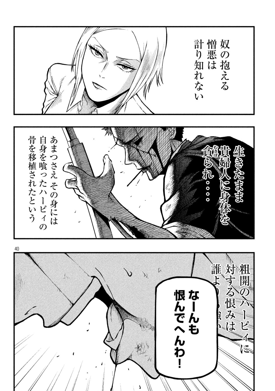 Gra Dimios Chapter 1 40ページ