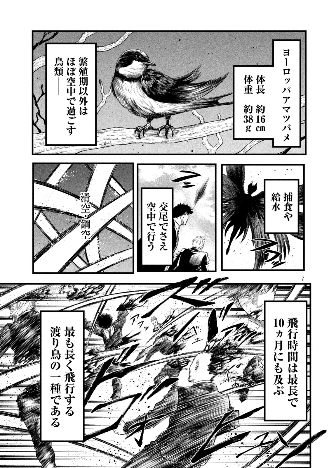 Gra Dimios Chapter 22 7ページ