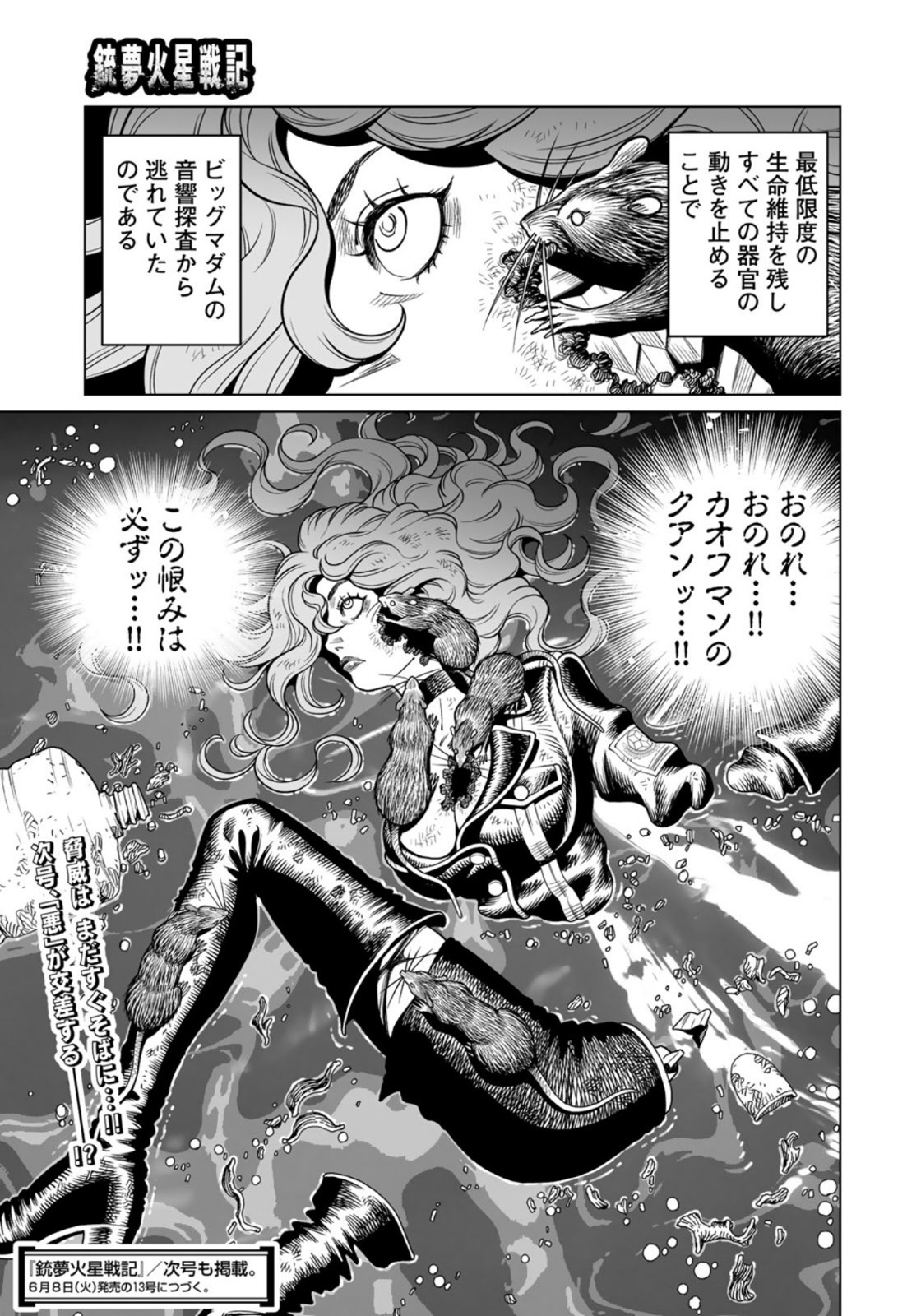 Gunnm Kasei Senki Chapter 37.2 17ページ