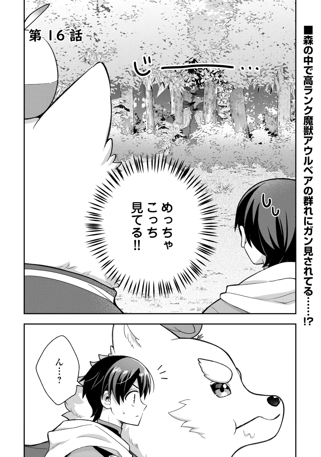 The Kindhearted Low-Rank Tamer Rules With SSS-Rank Sacred Beasts and Fluffy Overpowering Chapter 16 1ページ