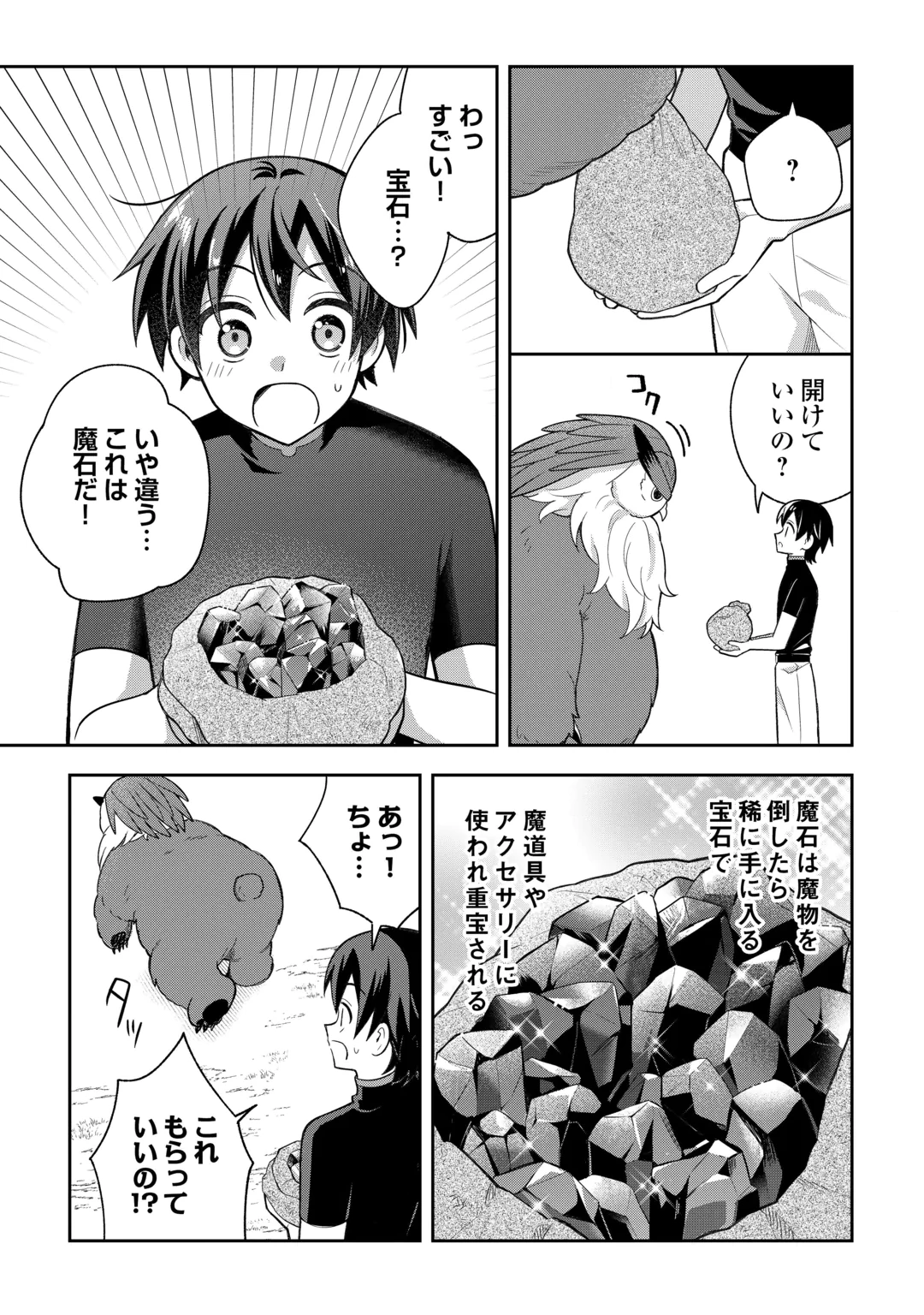 The Kindhearted Low-Rank Tamer Rules With SSS-Rank Sacred Beasts and Fluffy Overpowering Chapter 16 19ページ