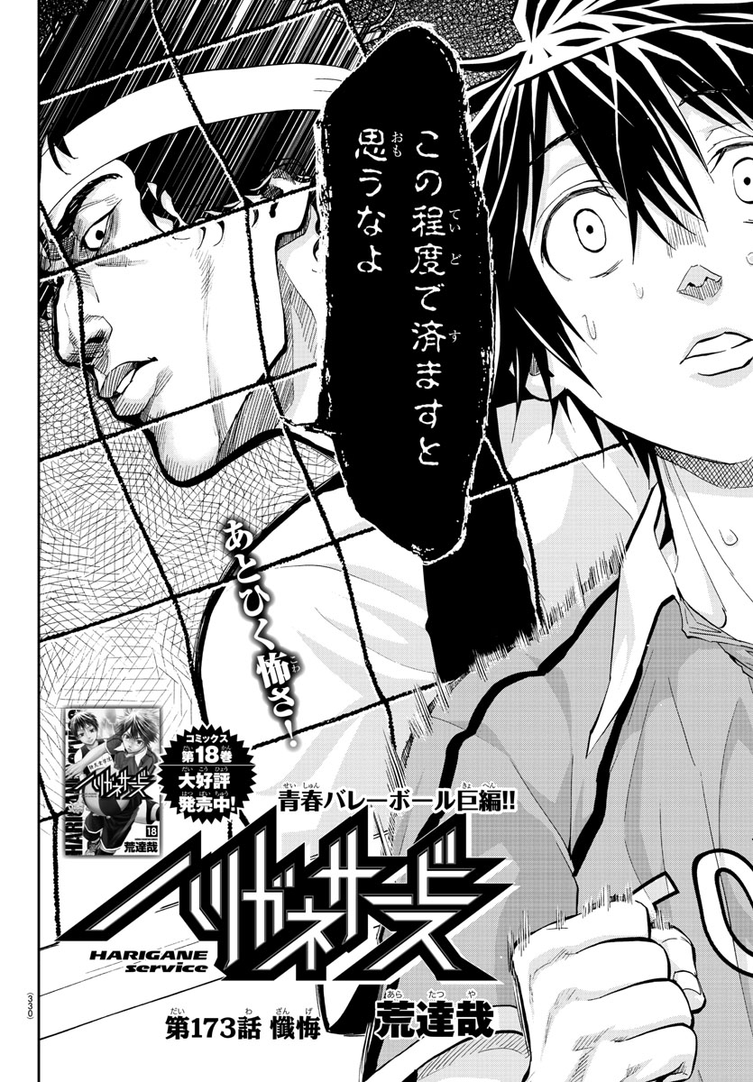 Harigane Service Chapter 173 2ページ