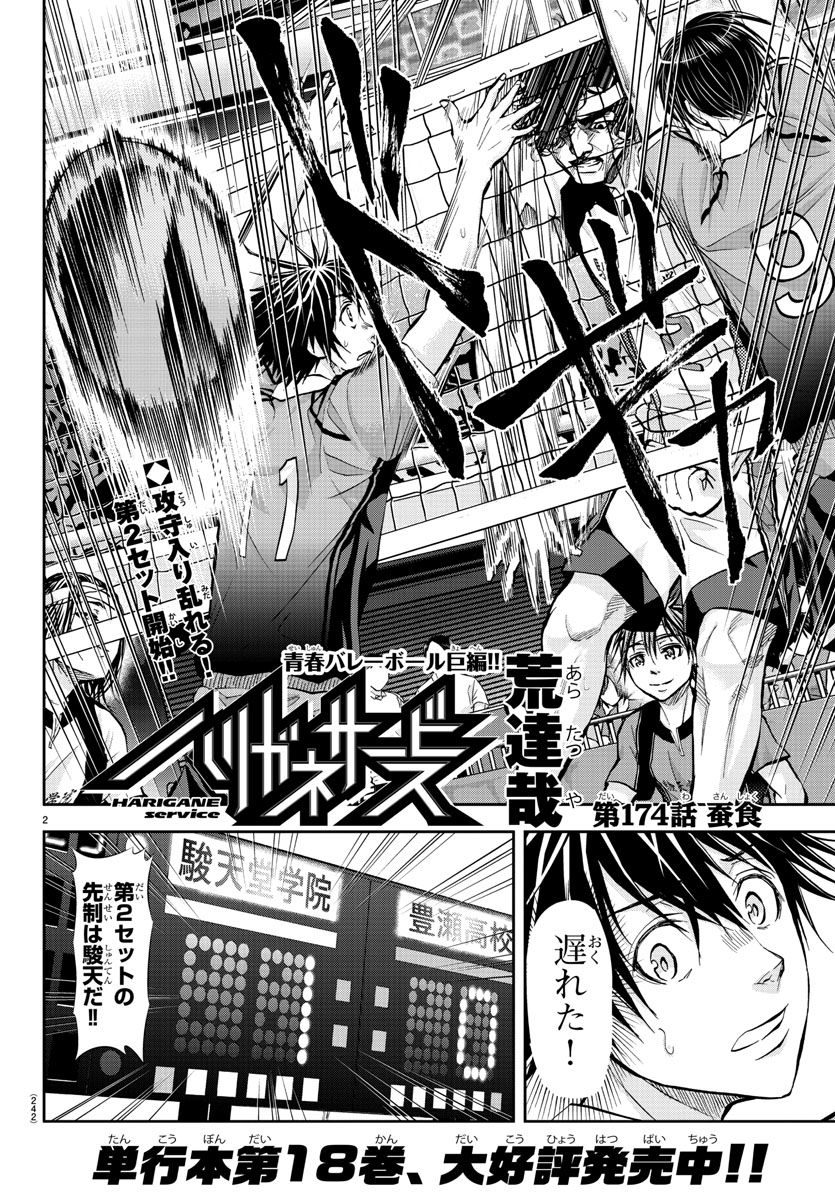 Harigane Service Chapter 174 2ページ