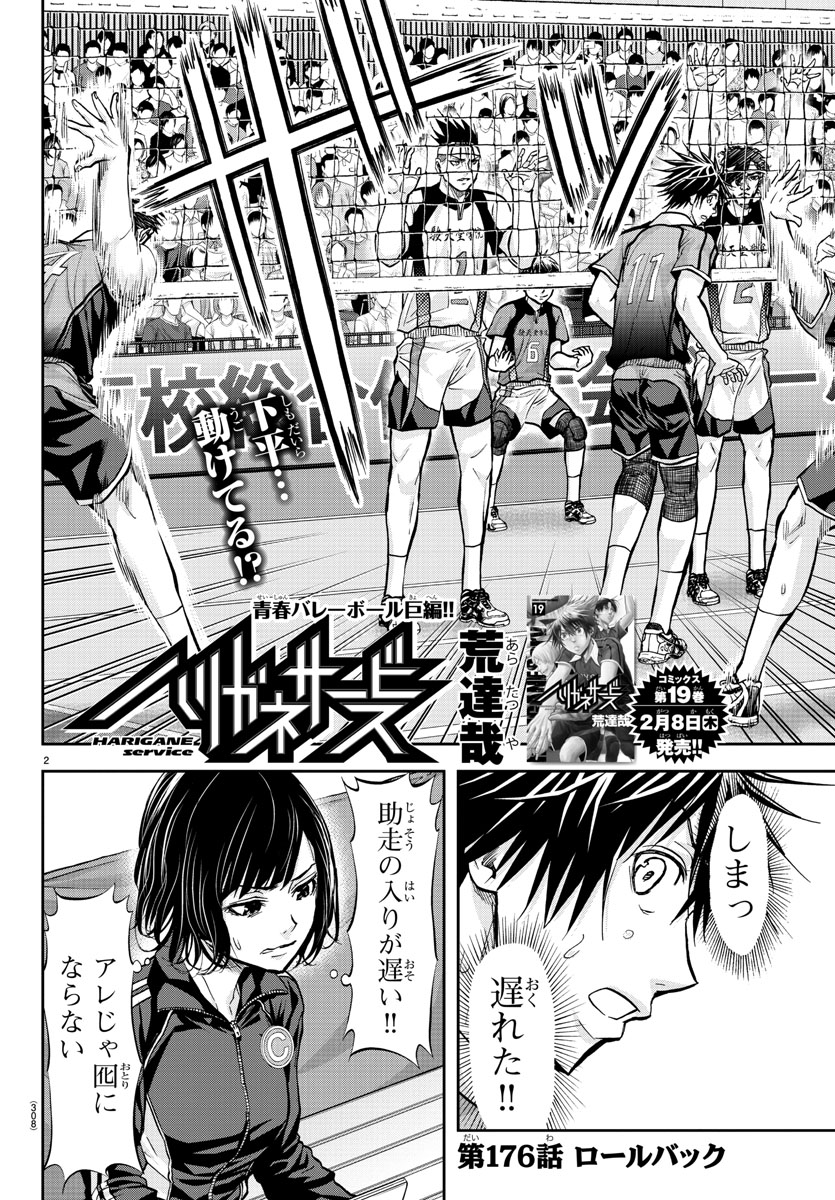 Harigane Service Chapter 176 2ページ