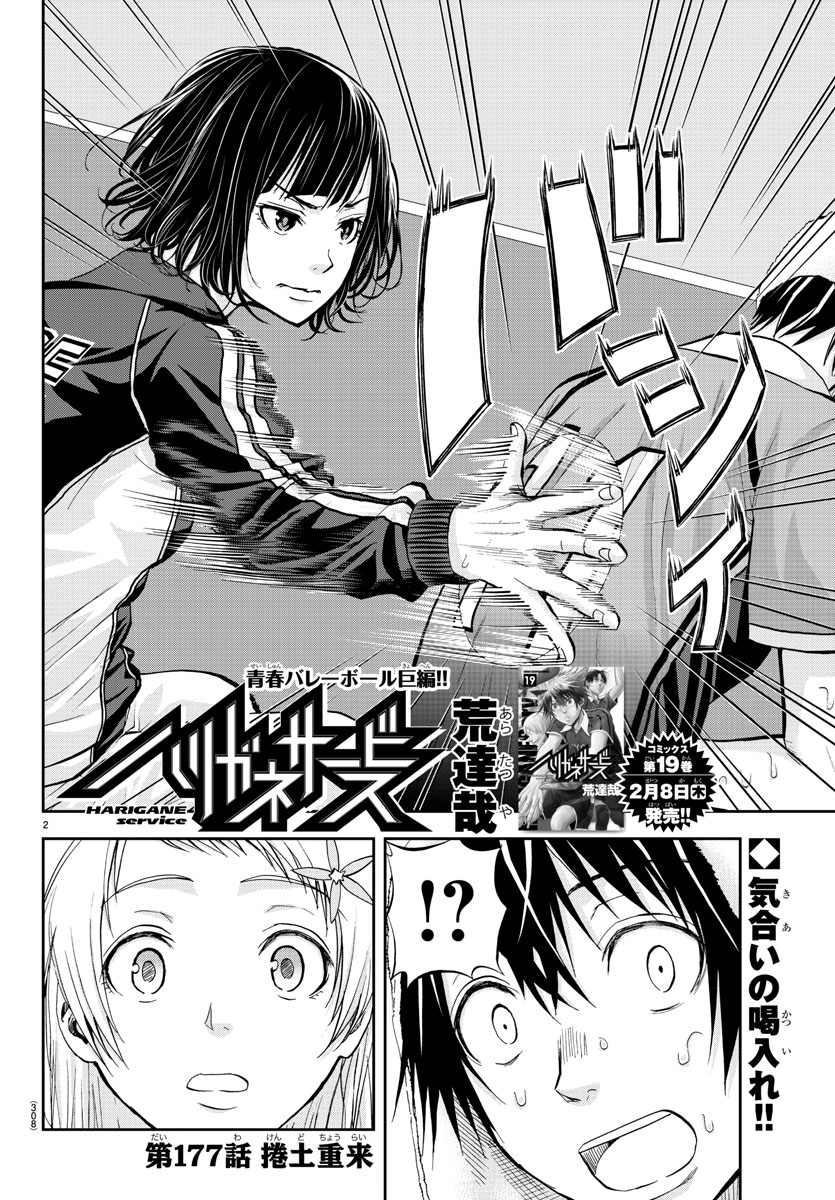 Harigane Service Chapter 177 2ページ