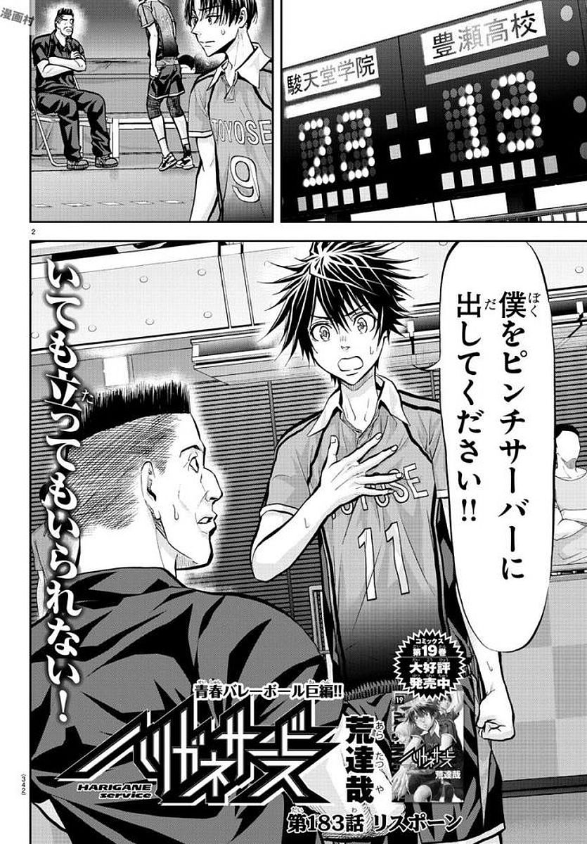 Harigane Service Chapter 183 2ページ