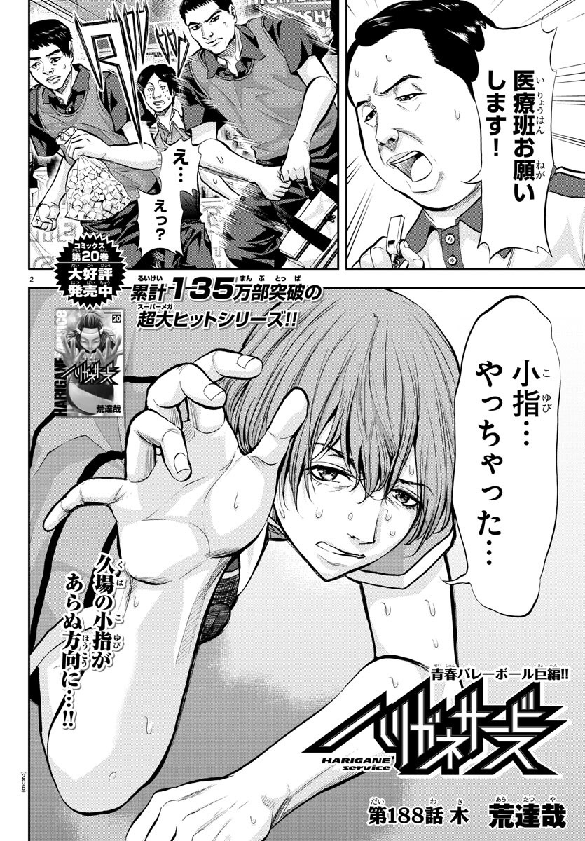 Harigane Service Chapter 188 2ページ
