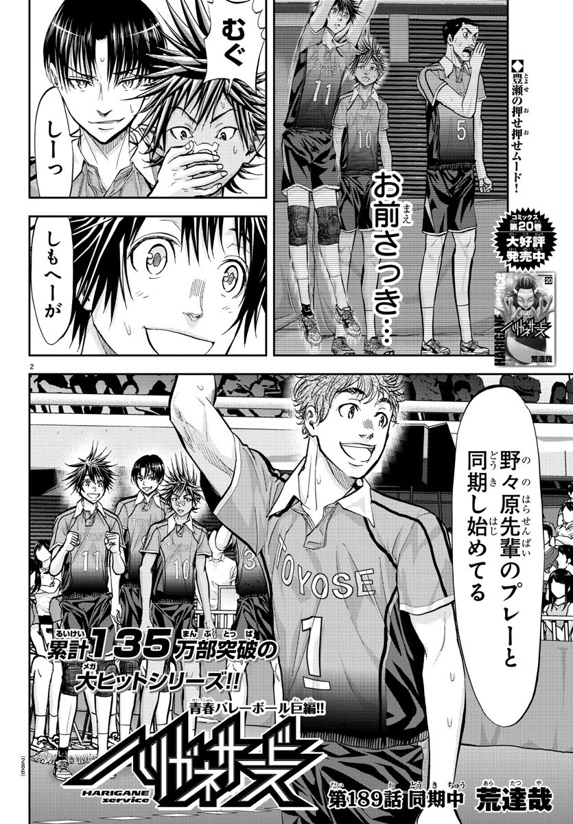 Harigane Service Chapter 189 2ページ