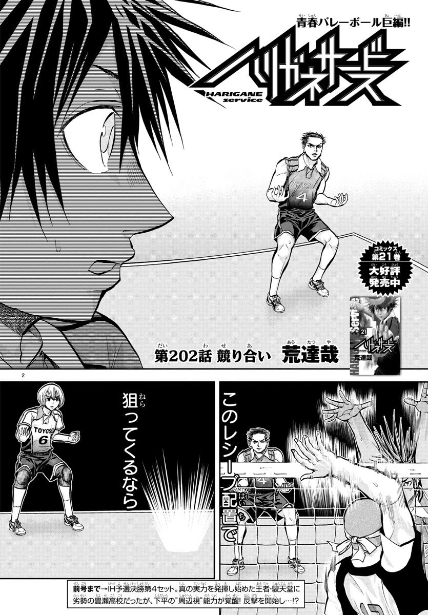 Harigane Service Chapter 202 2ページ
