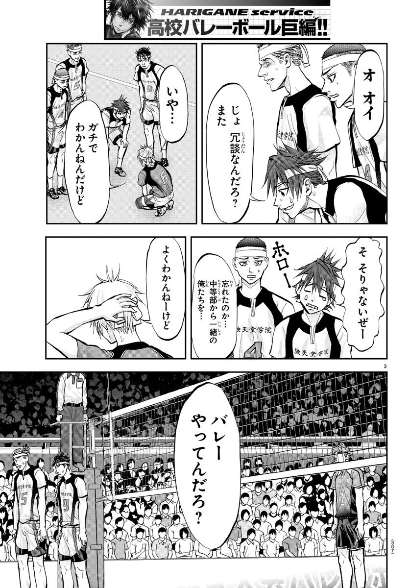 Harigane Service Chapter 204 3ページ