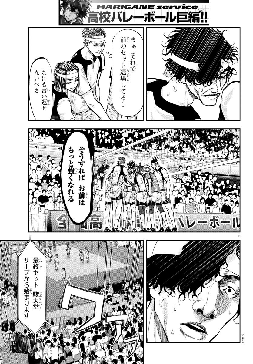 Harigane Service Chapter 207 3ページ