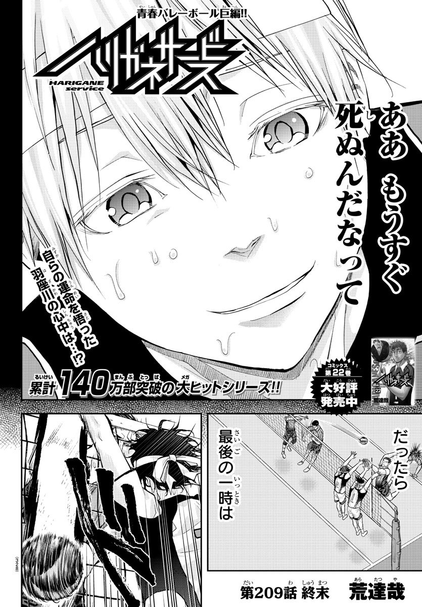 Harigane Service Chapter 209 2ページ