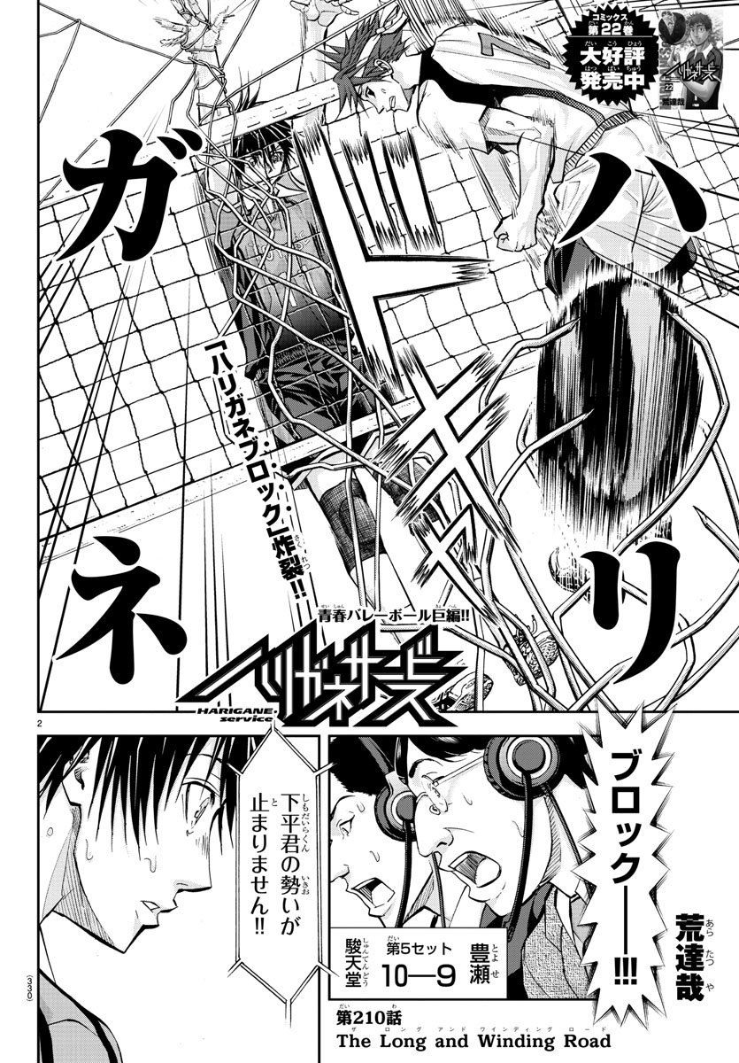 Harigane Service Chapter 210 2ページ