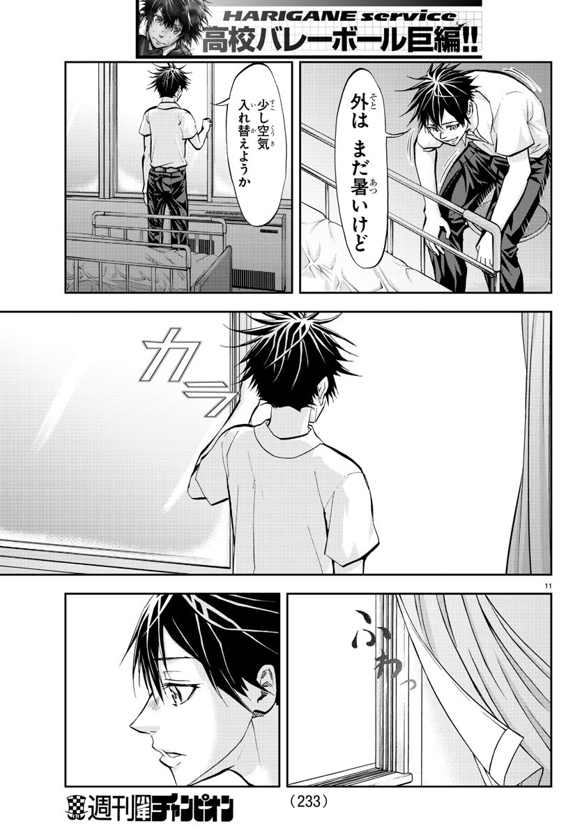 Harigane Service Chapter 212 12ページ
