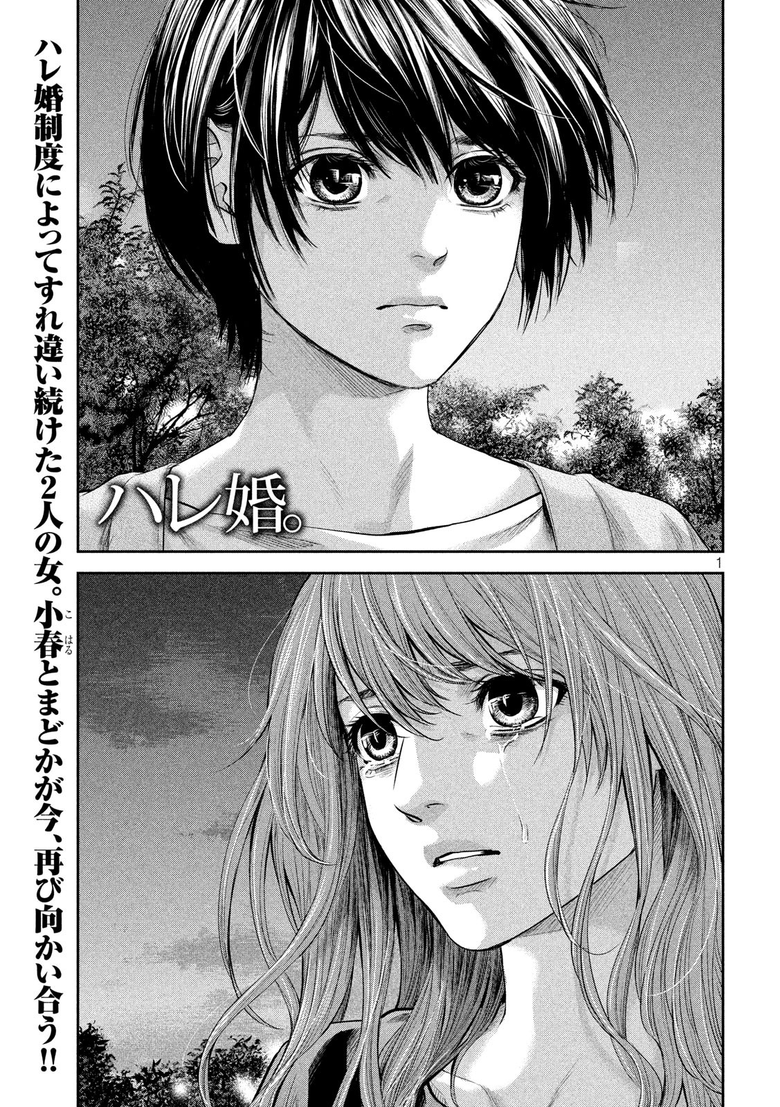Hare Kon. Chapter 178 1ページ