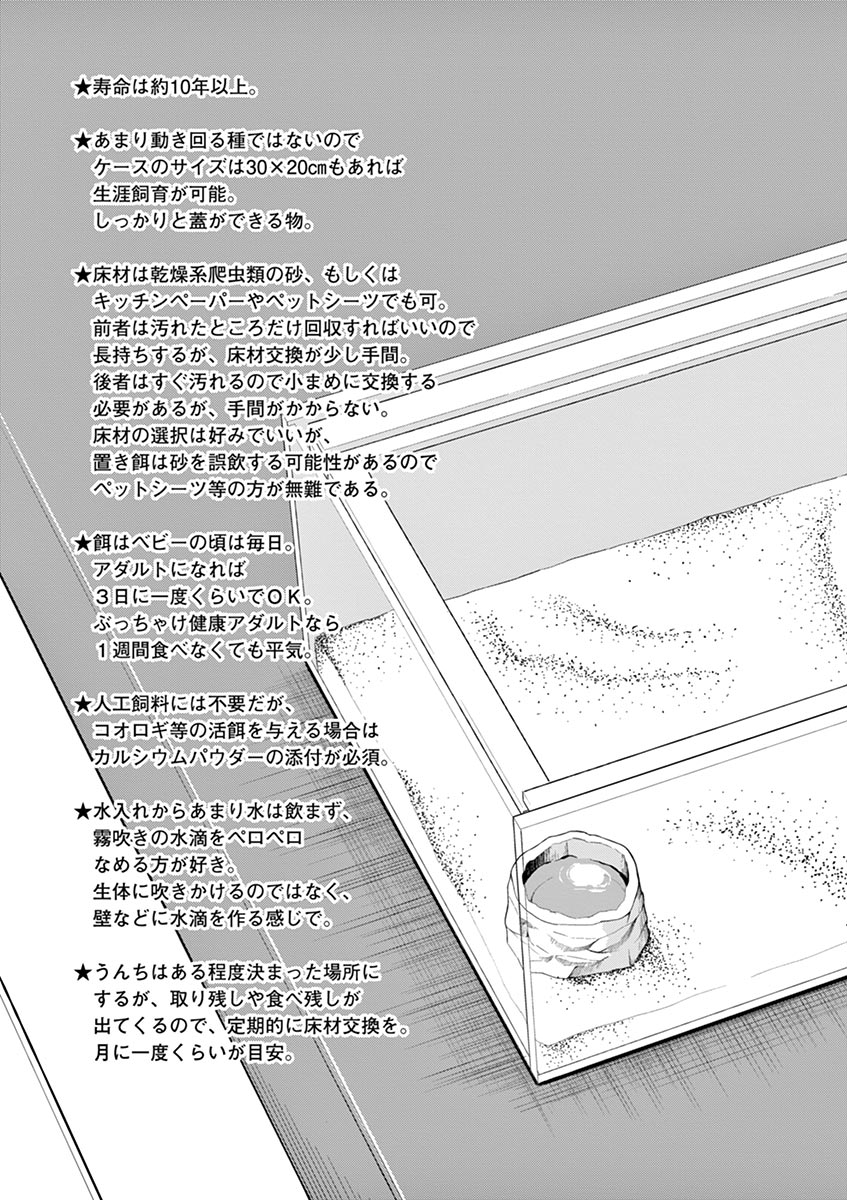 Himitsu no Reptiles Chapter 4 11ページ