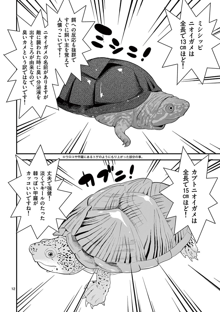 Himitsu no Reptiles Chapter 12 12ページ