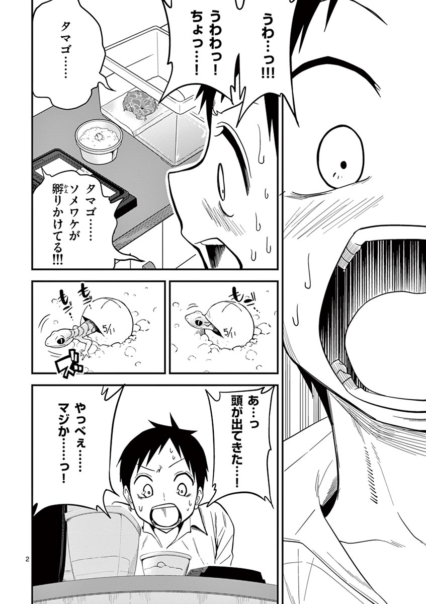 Himitsu no Reptiles Chapter 13 2ページ